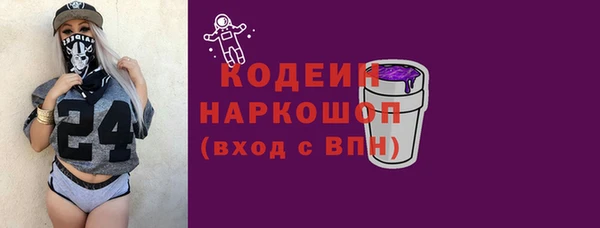 прущий лед Богданович